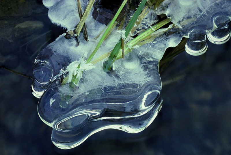 Image 1064 Abstract Nature Photography by Uwe Larsen