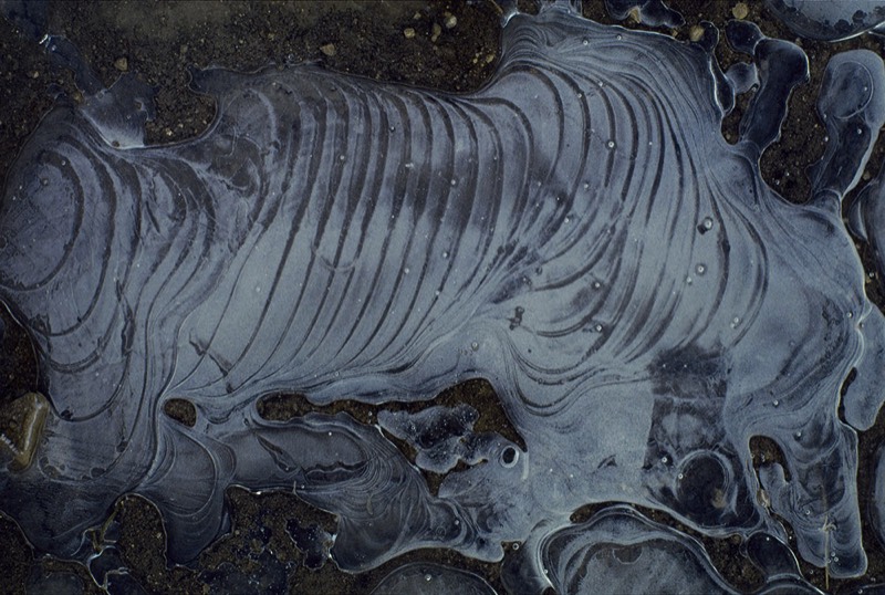 Image 1717 Abstract Nature Photography by Uwe Larsen