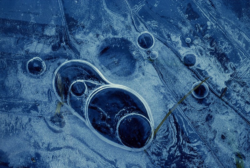 Image 2008 Abstract Nature Photography by Uwe Larsen