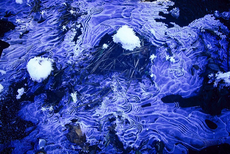 Image 2182 Abstract Nature Photography by Uwe Larsen