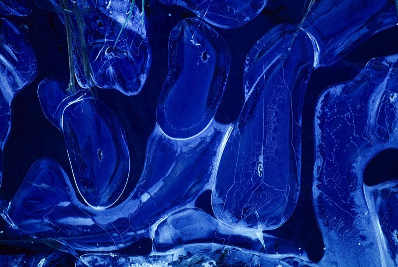 Image 2321 Abstract Nature Photography by Uwe Larsen