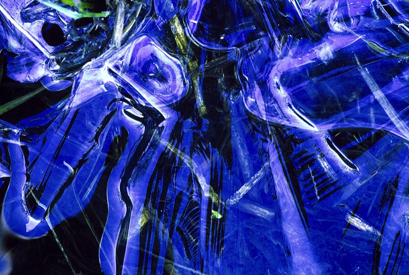 Image 2479 Abstract Nature Photography by Uwe Larsen