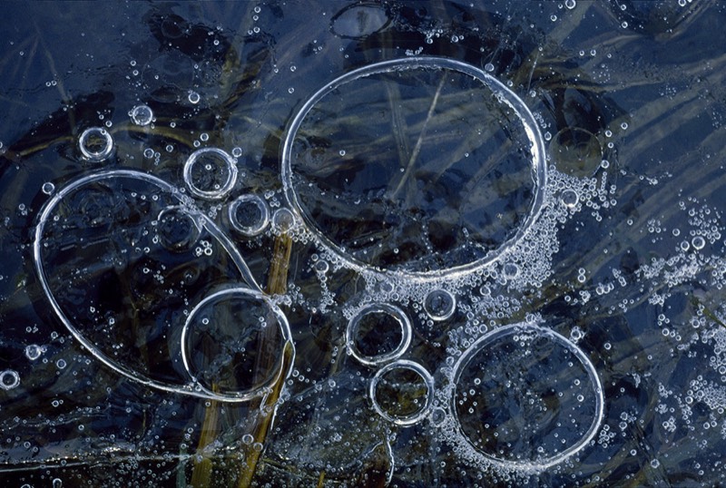 Image 2509 Abstract Nature Photography by Uwe Larsen