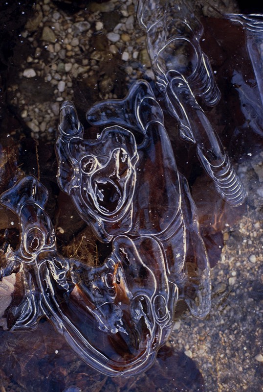 Image 3 Abstract Nature Photography by Uwe Larsen