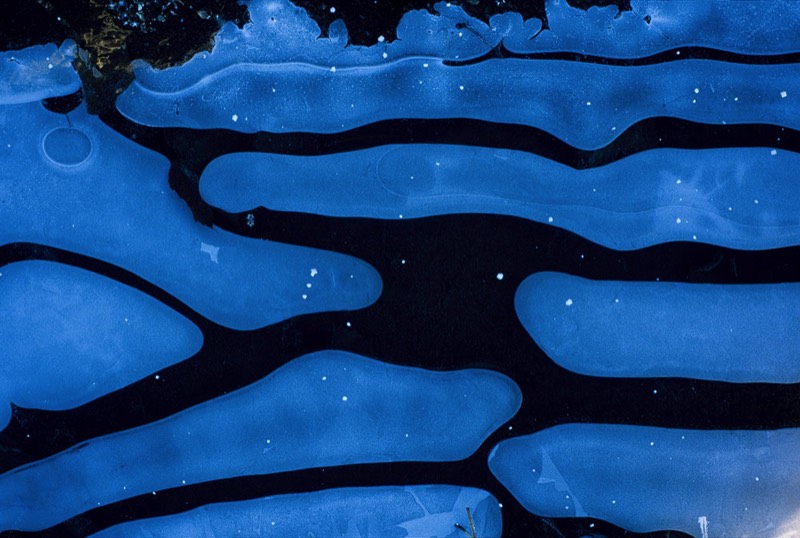 Image 3426 Abstract Nature Photography by Uwe Larsen