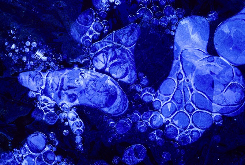 Image 3498 Abstract Nature Photography by Uwe Larsen