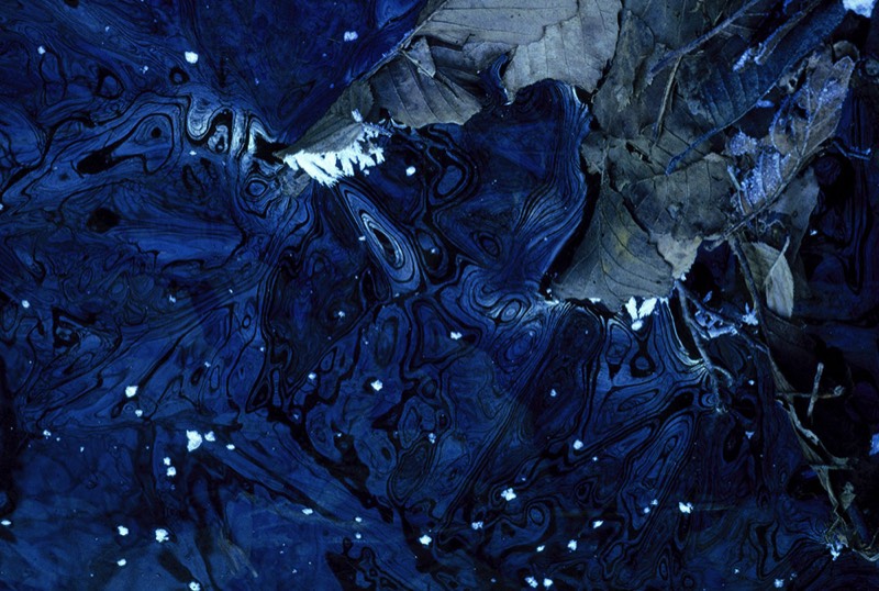 Image 3548 Abstract Nature Photography by Uwe Larsen