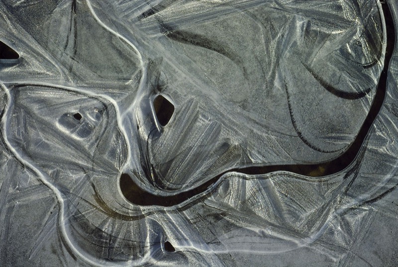 Image 4557 Abstract Nature Photography by Uwe Larsen