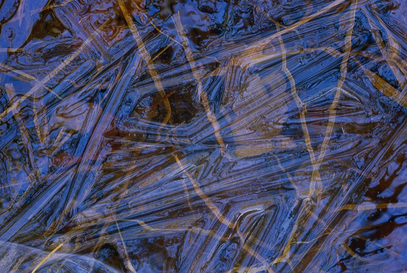 Image 4853 Abstract Nature Photography by Uwe Larsen