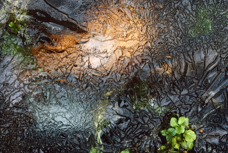 Image 4979 Abstract Nature Photography by Uwe Larsen