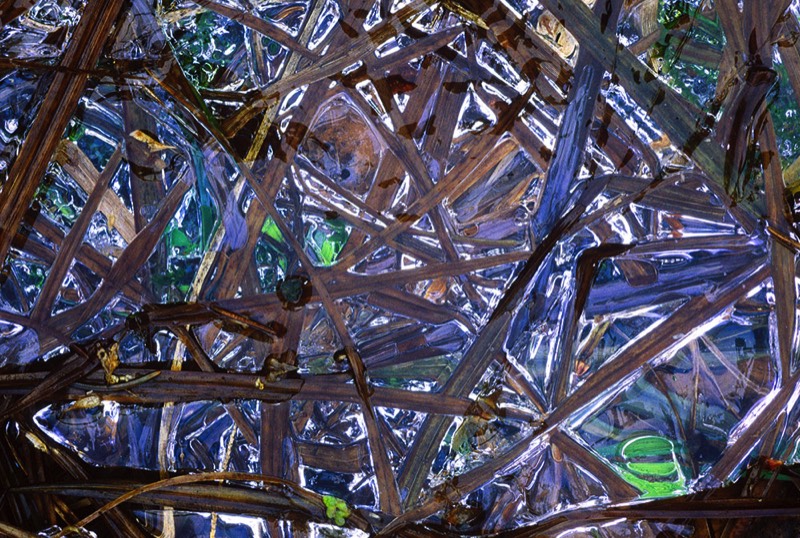 Image 4987 Abstract Nature Photography by Uwe Larsen