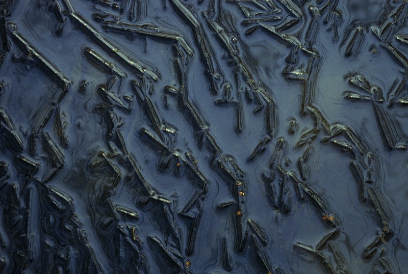 Image 539 Abstract Nature Photography by Uwe Larsen